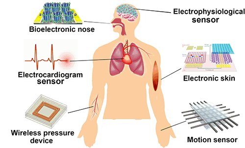 brain_2020's tweet photo. Get more insights on Biomedical Engineering at #Tissue_Science_Conference_2019
Recent progress in flexible and wearable #Bio_Electronics based on #Nanomaterials
To know more about session and tracks https://t.co/f1wXnkhvaL
#Biomaterial #Medical_Devices @UUtah @aaas @IntSocMatBio https://t.co/lJAUNW1lb8