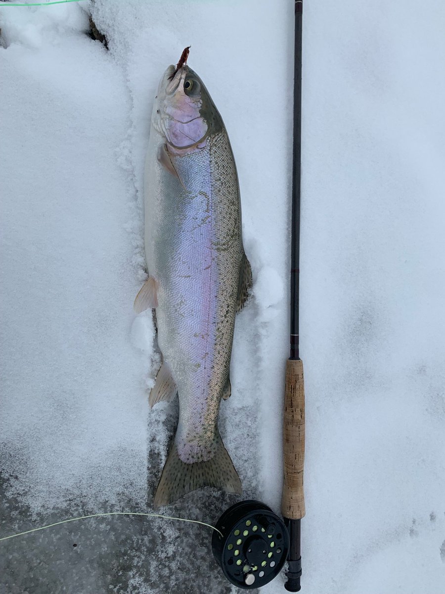 kigercreek's tweet photo. Yesterday proved...it’s time for “spring” fishing. https://t.co/REwoxcACyU