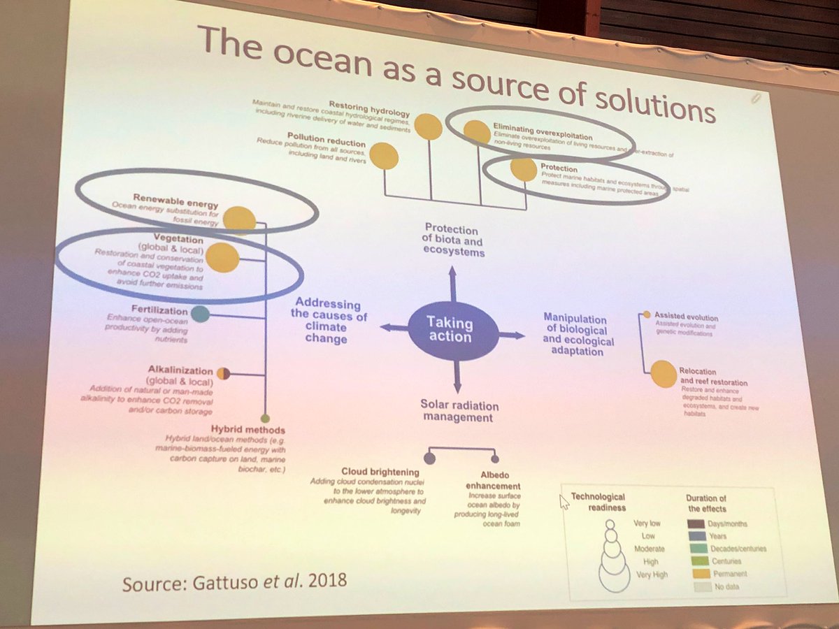 Cameron_Diver's tweet photo. Sylvie Goyet, @spc_cpsโ Director of #ClimateChange, talking the #Climate-#Ocean nexus & highlighting the oceanโs contribution to #ClimateAction at #HOF11 today. SPC is a proud partner of many initiatives focused on a sustainable + healthy ocean & committed to #OceanAction https://t.co/Q9riY5ZOgX