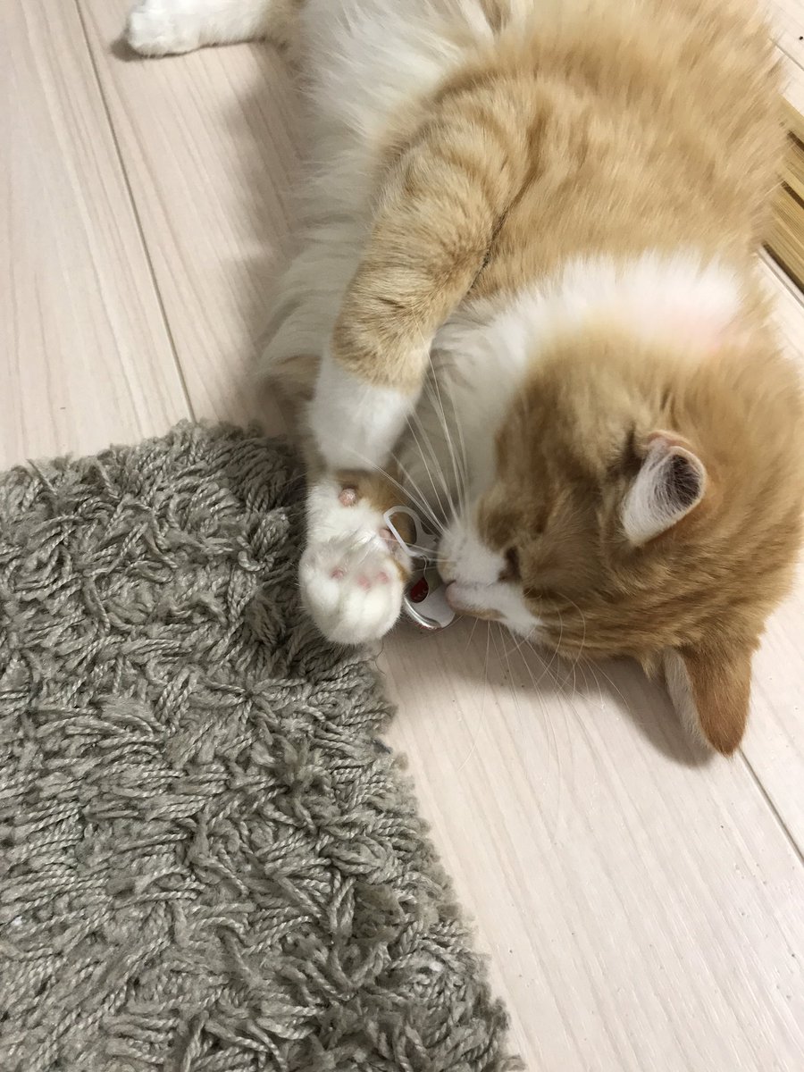 臨月オロナミンc