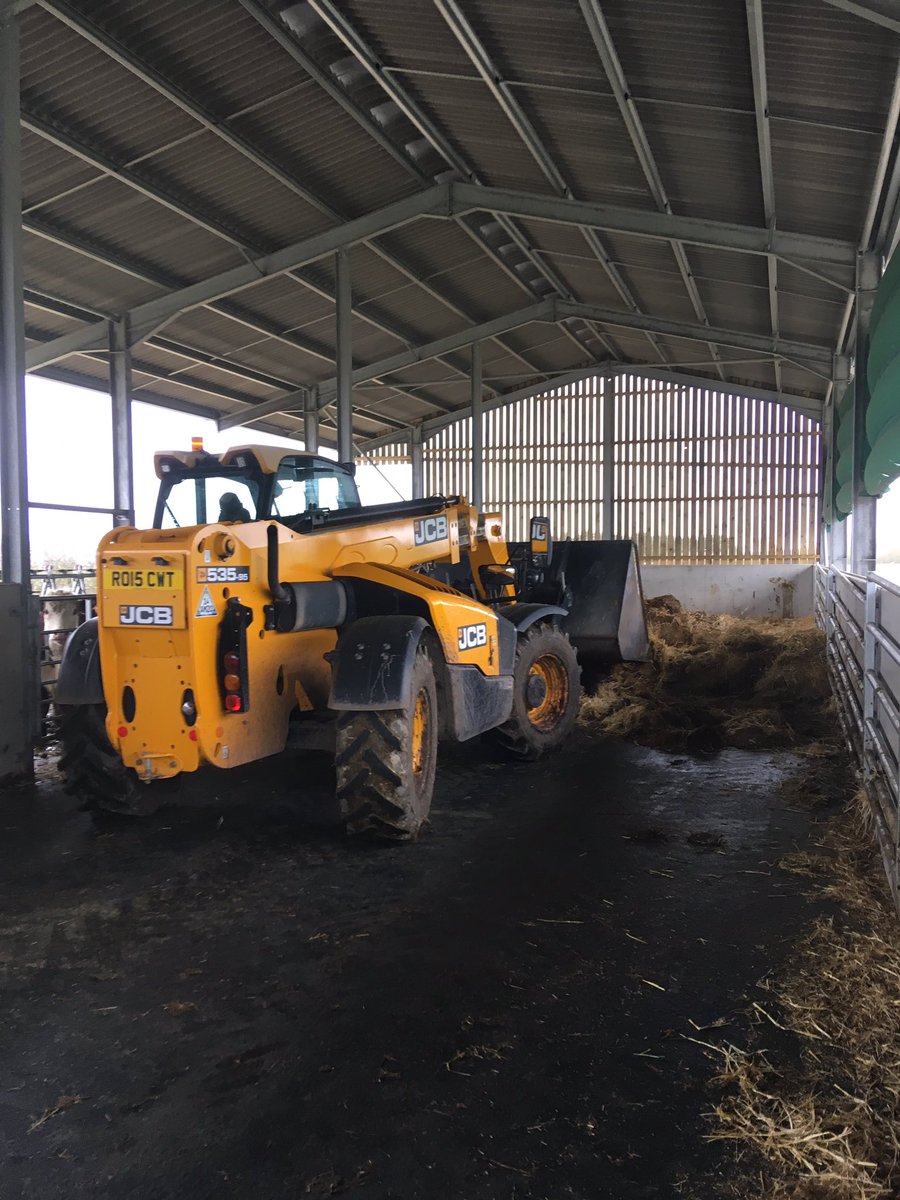 dan_fabb's tweet photo. Mucking out today https://t.co/T1mqrKLvY6