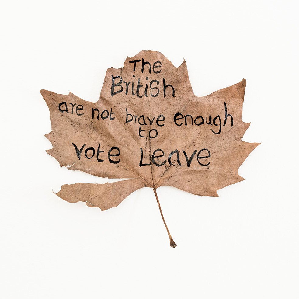 leafmeansleaf's tweet image. "The British are not brave enough to vote Leave."

A voice from the doorstep on 23rd June 2016. 

What will MPs decide on March 12th 2019?