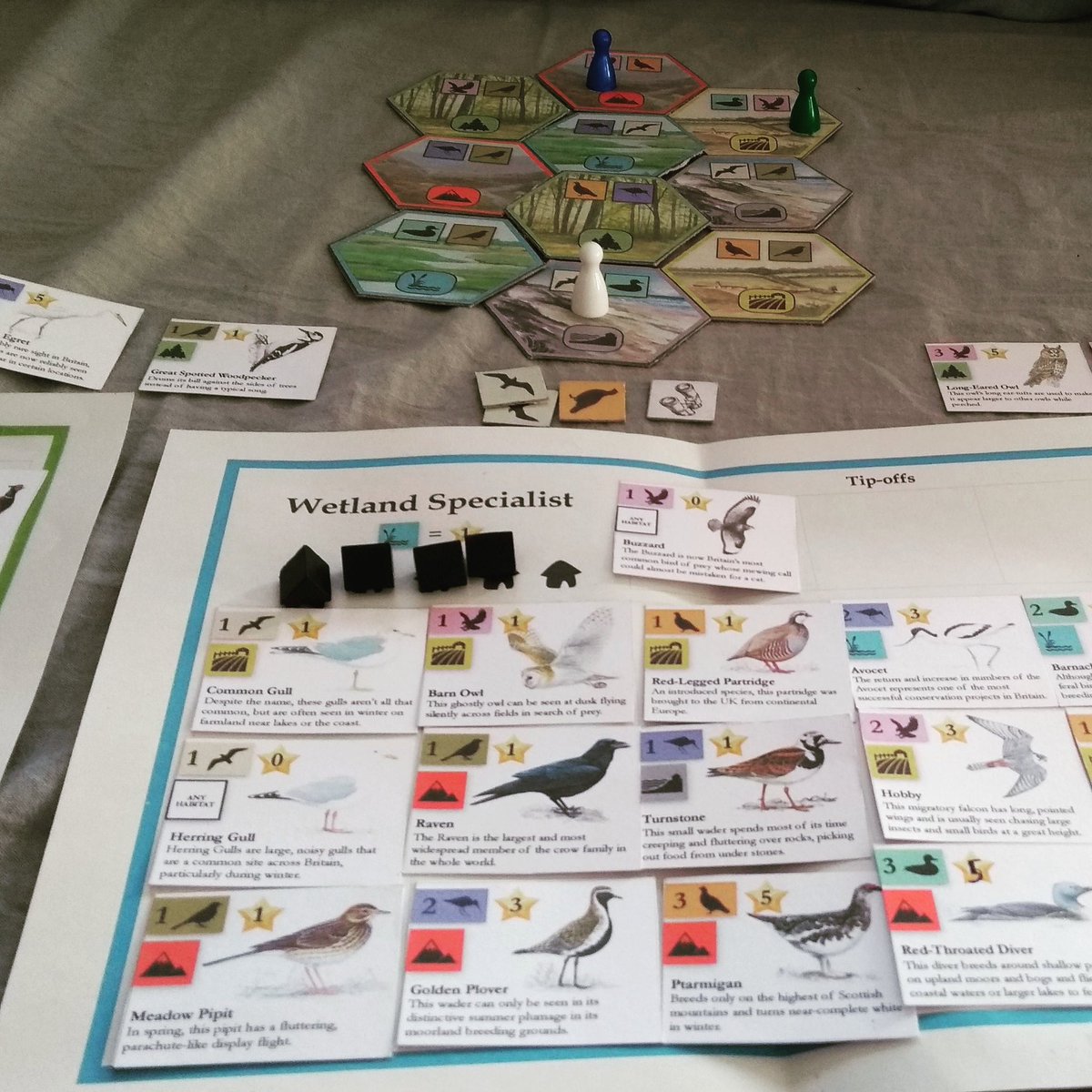 Ollie Fournier tweet media