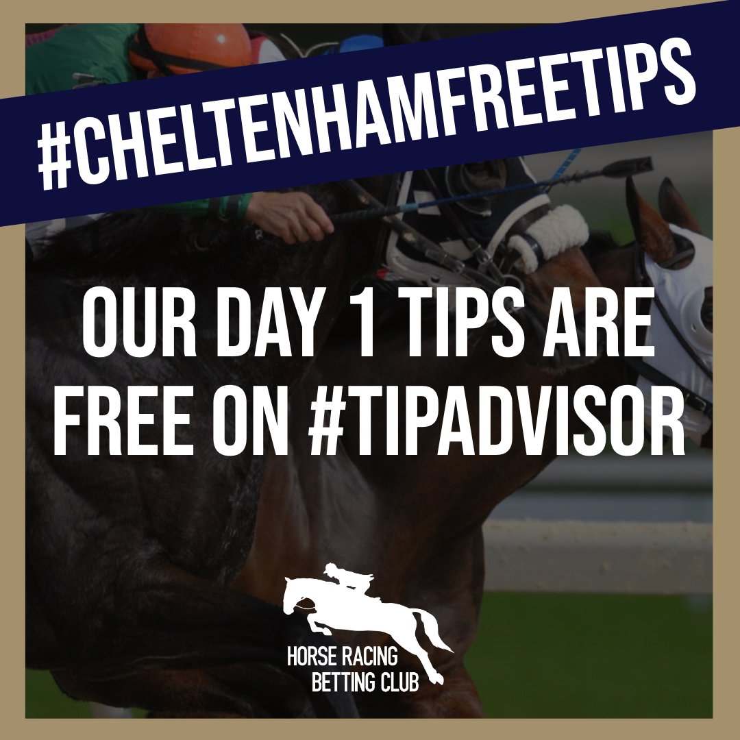 Horse Racing Betting Club tweet media