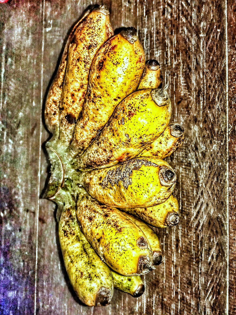 SauronJahat's tweet image. Pulang kampung dapat kado spesial dari Nyak,langsung ambil di kebun sendiri.katanya sih biar kuat lari...😁❤
#lovelove #pisangsusu