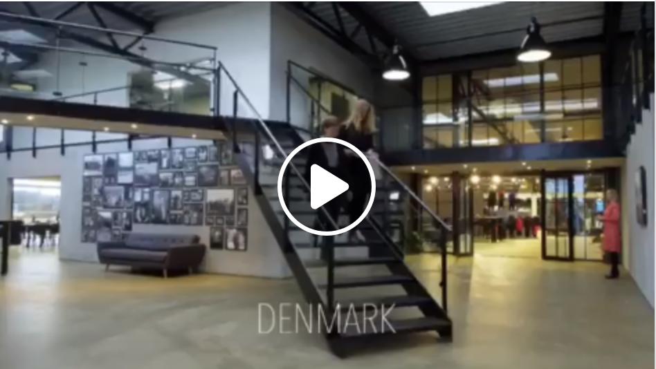 FZ FORZA International tweet media