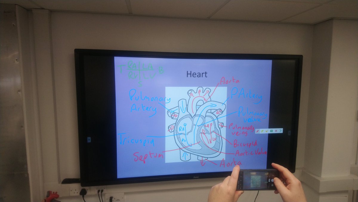 Ashleyjc23's tweet photo. First A+P lesson in the new labs @gifhe fantastic experience using technology to learn, talk about innovation!!! @GYstudentsenate @unicentregy @gifhe #innovation #Mission #newage #techlesson https://t.co/0c67joc65Y