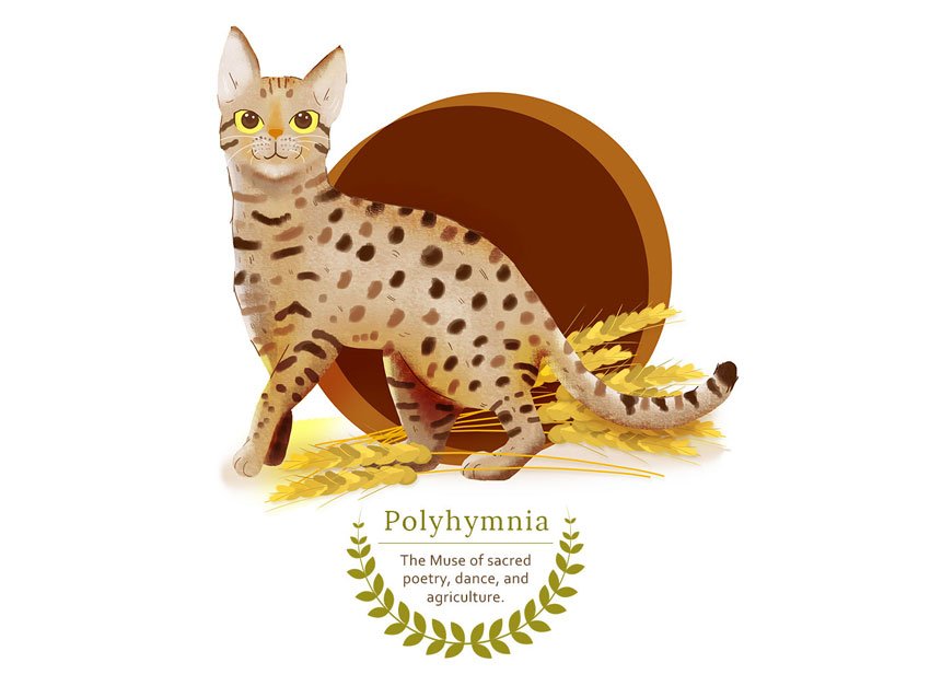 _DJBG's tweet image. Art for All: Celebrate Diversity in Design—Volume 19 - design.tutsplus.com/articles/art-f…

#Design #artforall #tutsplusdesign #Illustration #3D #Artist #Inspiration #Learn