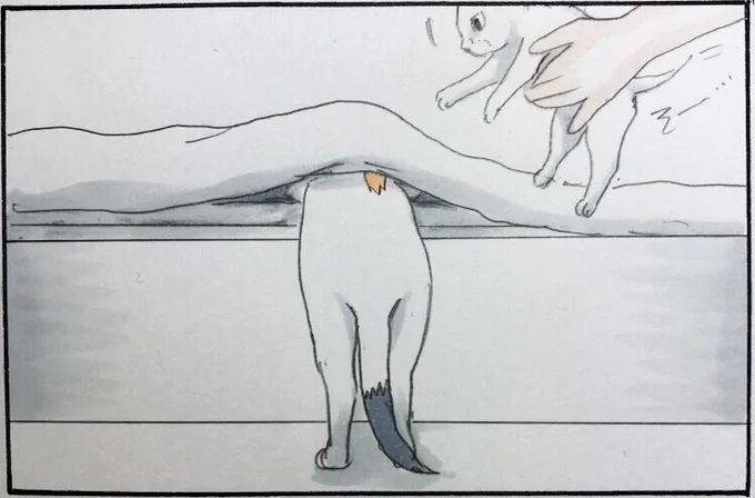 『ダマされ王モチャ』 