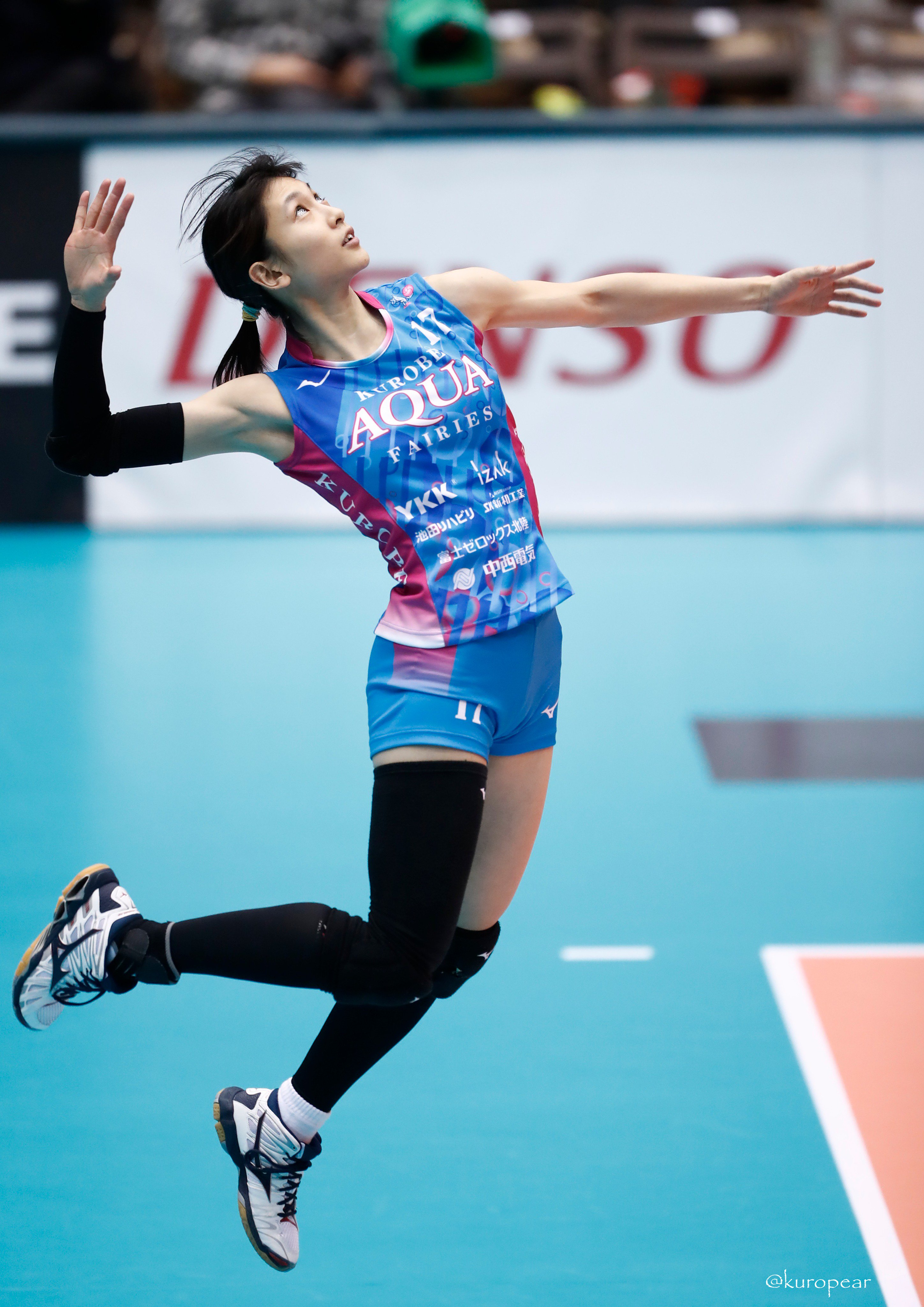 白岩蘭奈選手　応援Tシャツ未開封未使用 白岩蘭奈選手 応援Tシャツ未開封未使用 白岩蘭奈選手 応援