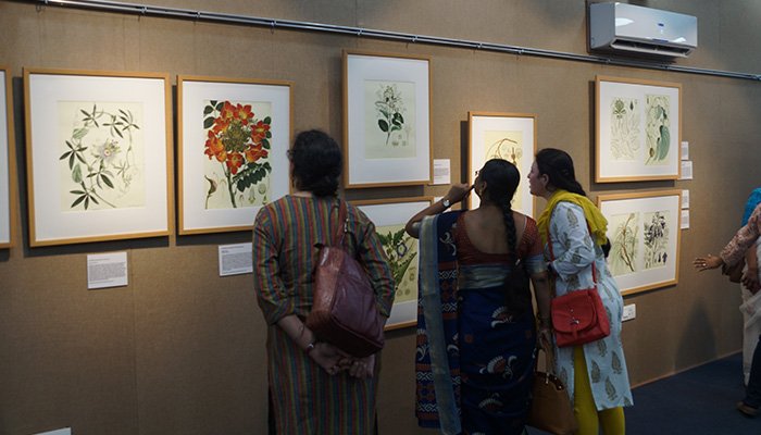 tsdamindia's tweet photo. An exhibition of #BotanicalDrawings started on March 11th, along with a #BotanicalArtWorkshop at Bhagawan Mahaveer Auditorium, #TelanganaStateMuseum. #HeritageTelangana #HenryNoltie #CleghornCollection #NeeraPradhan @TheBotanics @GZ_Hyd @Dakshinachitra https://t.co/ALzSfGbqQ4