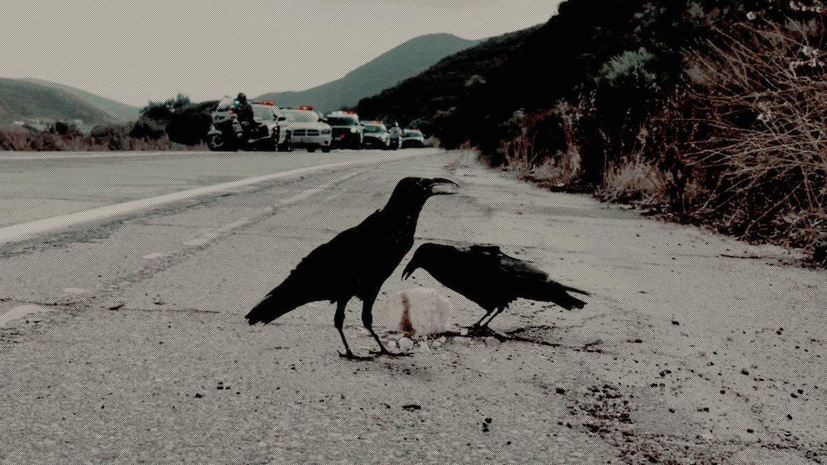 —;; WRITTEN STARTER

⠀⠀⠀⠀<a href="/OfLeathered/">╱ 𝐂𝐇𝐈𝐁𝐒 ( H )</a>