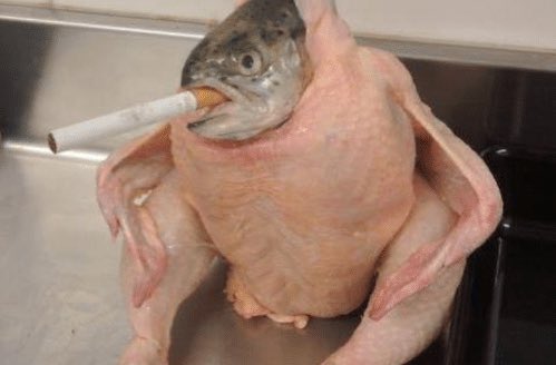 chicken fish cigarette Therapist: Smoking Chicken Fish is not real. It won't hurt you Smoking  Chicken Fish: