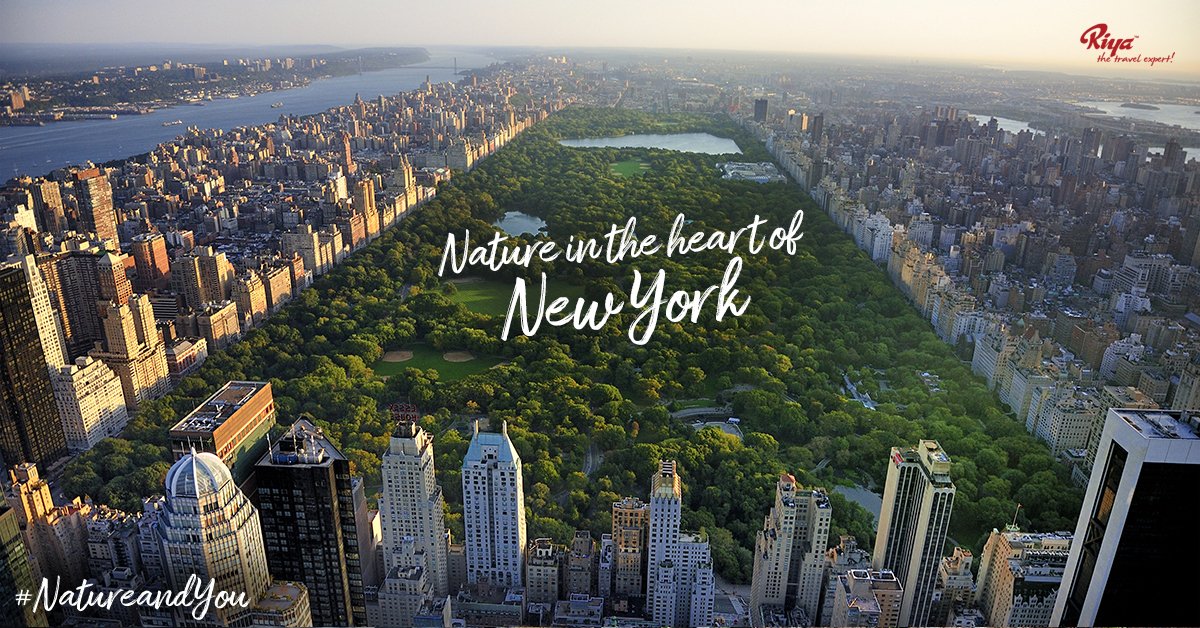riyatravelind's tweet image. Visit #NewYorks favorite place to be in. The #CentralPark and enjoy the Central Park Zoo, ride the Carousel, chill in a boat on the lake, and take a self-guided tour around the park. 
To know more visit: bit.ly/2Cf0jAQ
#NatureAndYou
#RiyaTravels