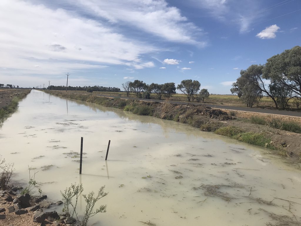 Henry1043's tweet photo. Crop visits Griffth New South Wales @IFMAOnline Post Congress Tour. Day 4. Citrus, almonds, rice, cotton and cereals. Most significant and common limiting factor for each Water. https://t.co/jxU2OdiE9w