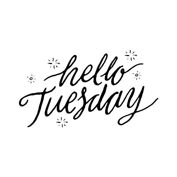 WRWLtd's tweet photo. Good morning from everyone here at Whiterose Windows. Keep an eye on our socials for special offers coming soon. ☕️😊 https://t.co/A7andTagbs