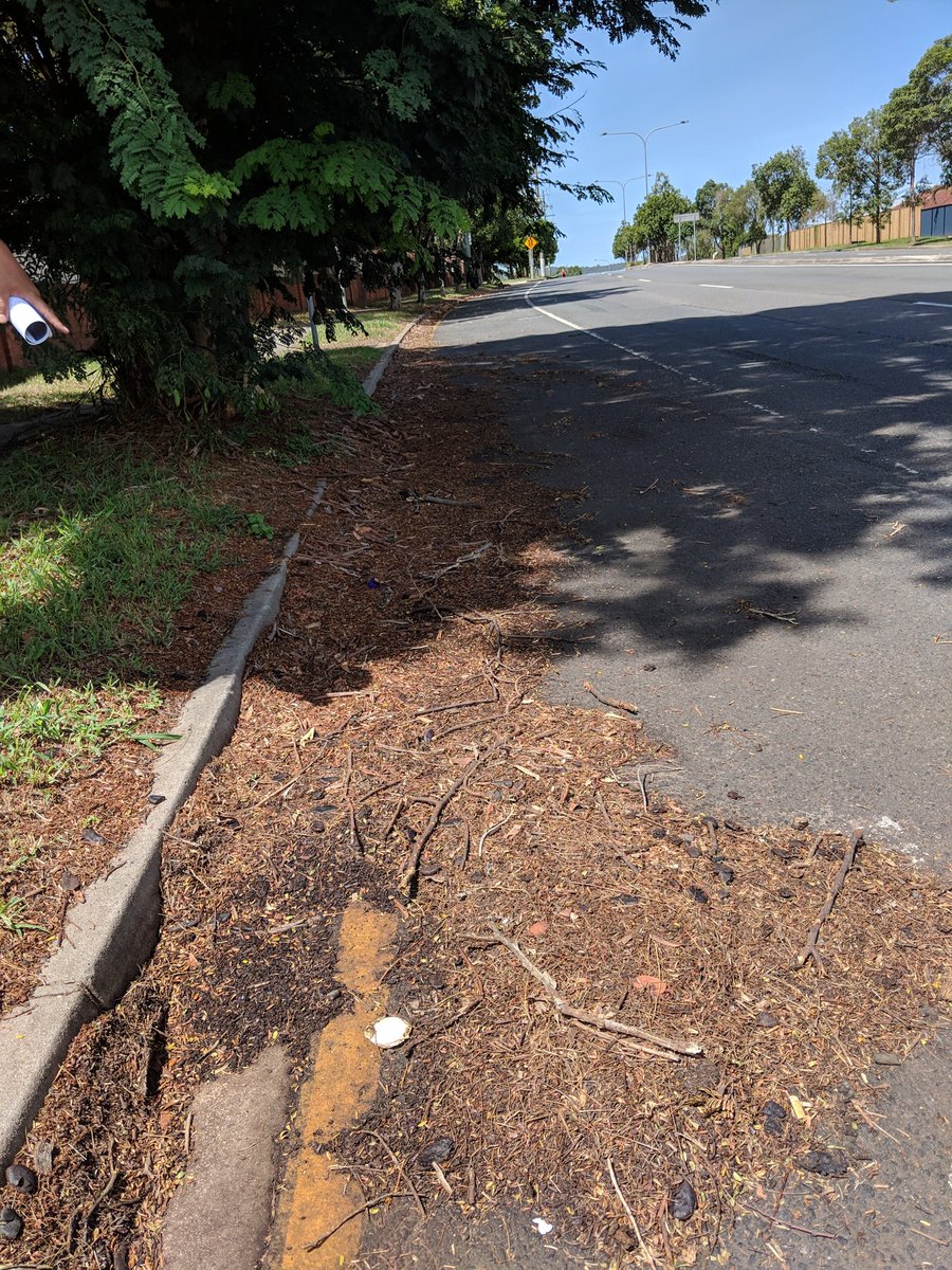 johnwnprescott's tweet photo. I have submitted a 📝 petition with over 50 signatures to BCC to trim this tree 🌳 which is blocking the footpath🚶 in Kuraby. This is Steven, and he has been trying to resolve this issue for 3 years. 🤷 When will the LNP City Council stop taking the #Runcorn Ward for granted? 🤦 https://t.co/NgrV67xYX0
