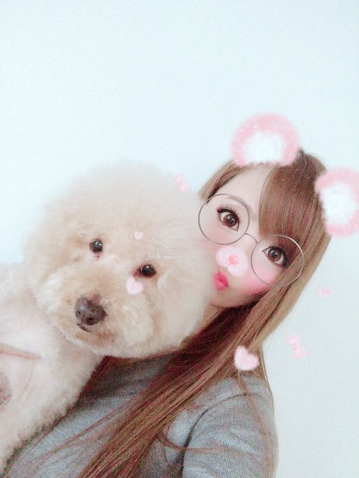 アフロ、おっきくしてもらった🥰😁 伸びた分切らずに整えるように伝えたから😆 https://t.co/w1Nj6Xqhtk<a href="/tag/%E6%84%9B%E7%8A%AC%E3%81%AE%E6%97%A5"class="tags"><span>#愛犬の日</span></a>