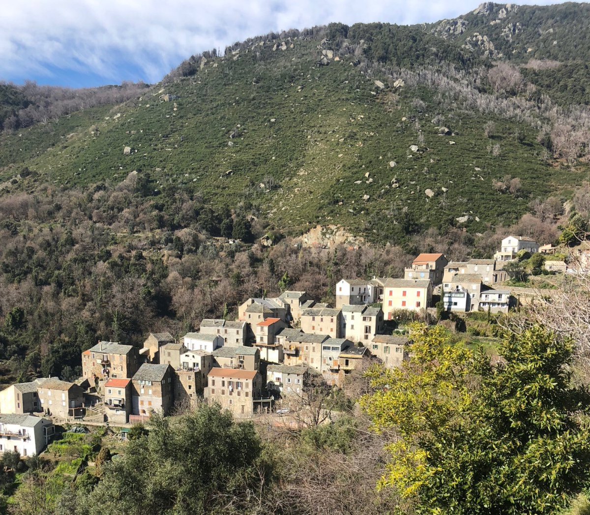 PaoliniJPierre's tweet image. A salvezza di a lingua,di a nostra cultura un po vene che di i paesi e di i paesani (e)
Sino simu lechi 
ci vole à mette i mezzi custi e a pena menu altro
U litturale hé statu sempre cusi e un cambiera mai 

#ctc #statu  #agricultori #artisgiani #internet #strade #cummercci etc.