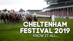 Horse Racing Betting Club tweet media