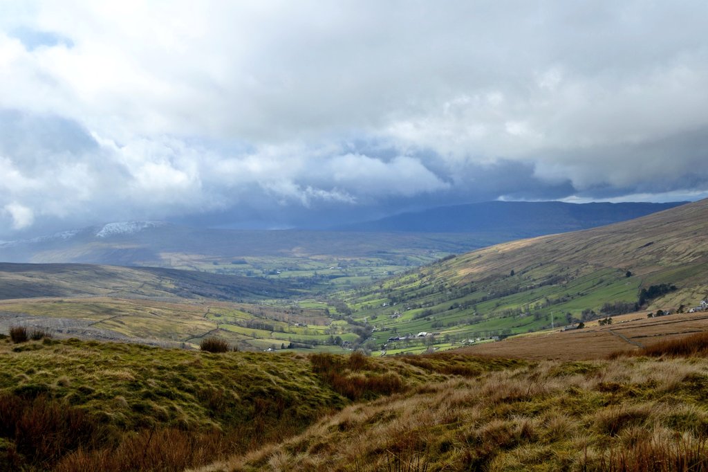 ✨Claire-a-bella✨ tweet media