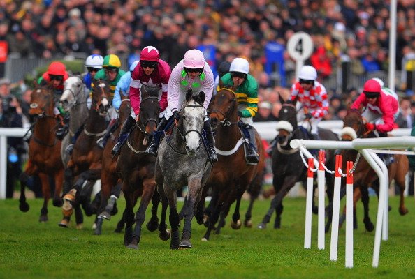 Horse Racing Betting Club tweet media