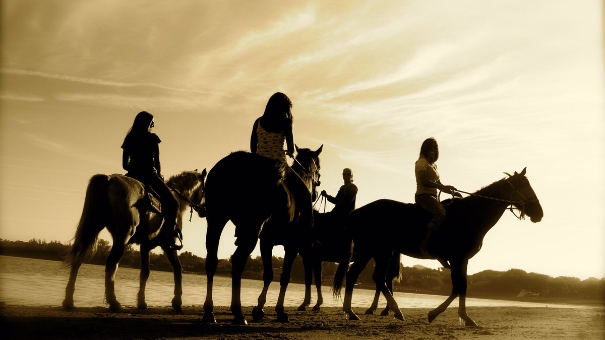 We’re sold out today 🙏 but today is a great day to book for tomorrow!
Our new #WaterHorses ride is only $100 for up to 90 minutes of horseback riding at Palma Sola Bay.

#TuesdayMotivation