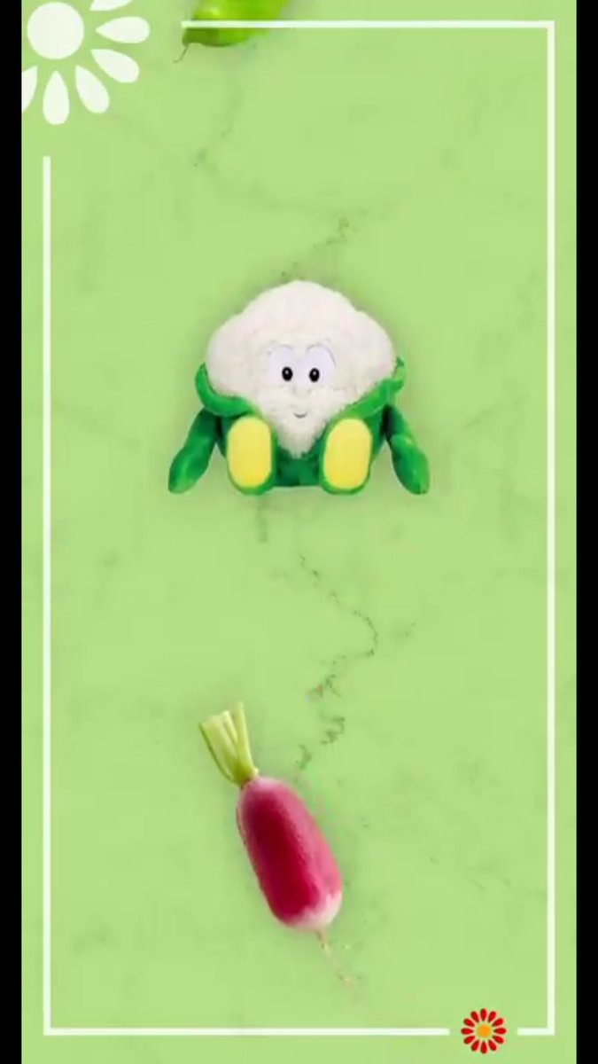 Vitamix peluches casino buffet