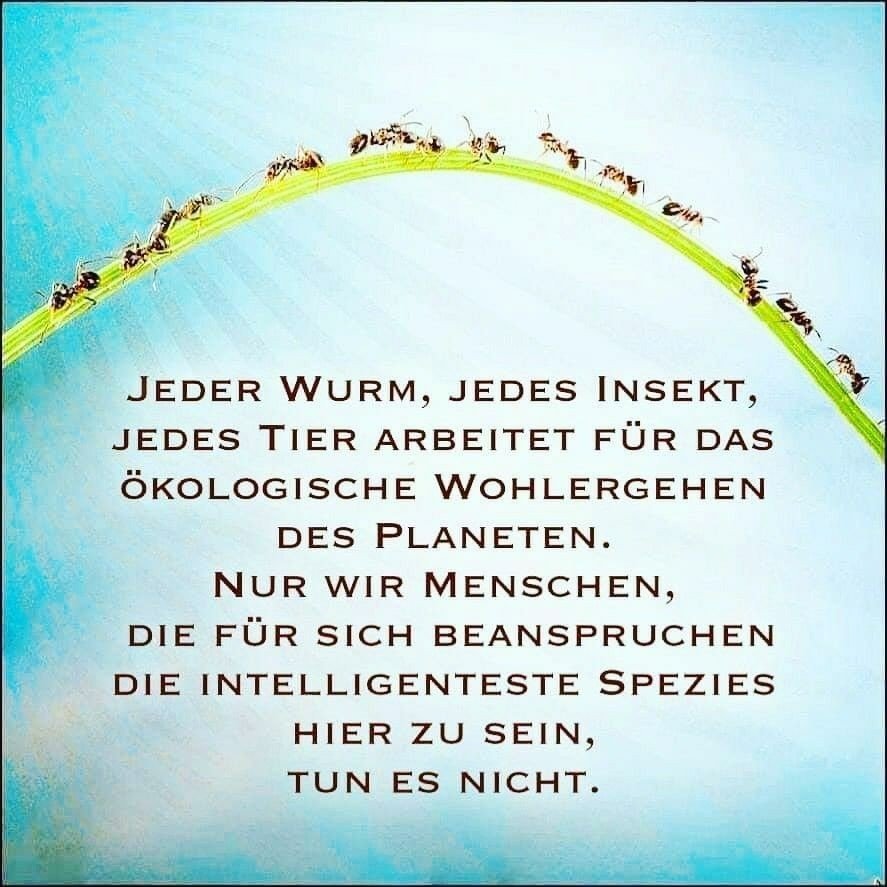 perdita186's tweet photo. Ich beantworte nach Möglichkeit jede Eurer Nachrichten,soweit Twitter sie nicht versteckt😤😞
Kann wieder nicht alles sehen😥
Deshalb: DANKE 💙💙🤗

Muss los, Osterferien stehen,aber nächste Woche"Gartenprojekt", damit aus unserer "Käfighaltung" ein Dschungel wird🌱🌿🌸🌼🐝🐞🌺😍 https://t.co/t4VRnupCbu