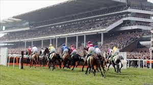 Horse Racing Betting Club tweet media
