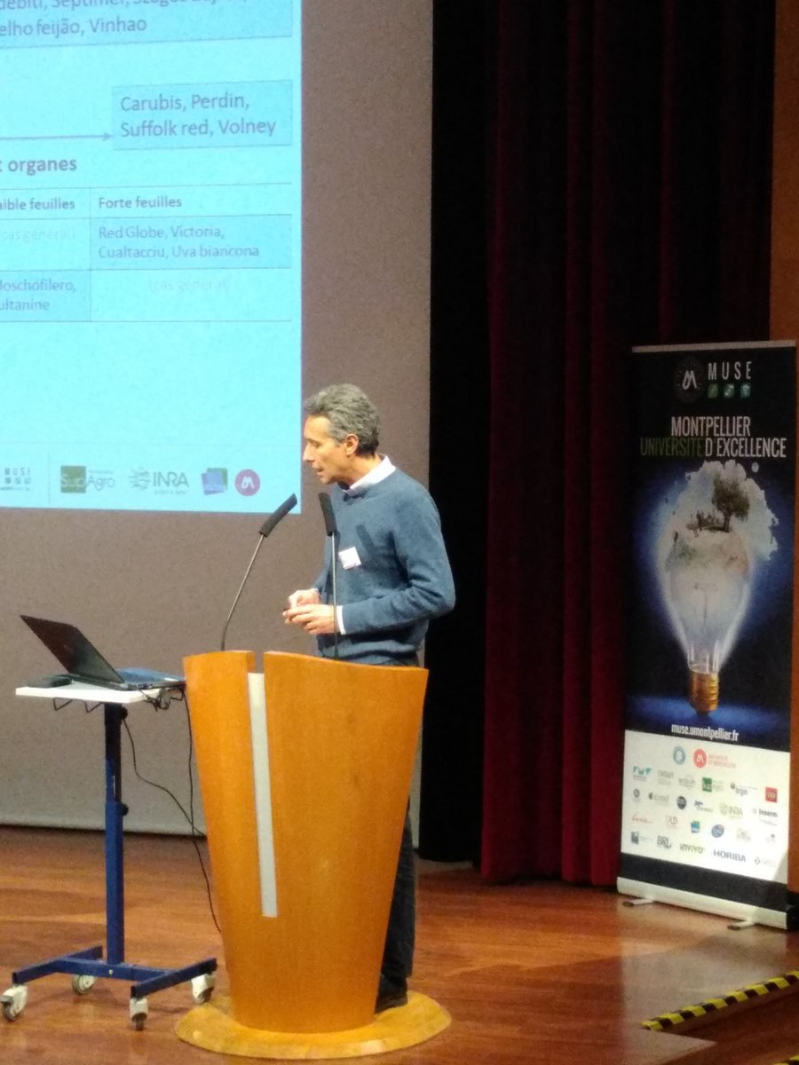 INRAE_OC_MPL's tweet photo. #JSVV2019 organisée par @KIMVineWine @IsiteMUSE @Supagro @InraMontpellier @irstea @umontpellier
Thierry Lacombe @InraMontpellier UMR AGAP présente le projet #VITARAMA : Caractérisation des tolérances aux bioagresseurs dans les variétés de #vignes des collections ampélographiques https://t.co/KnmPSZDjiQ