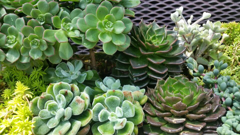 khss101's tweet image. 인생은 정해진
맬로디가 없는 즉흥재즈
음악과도 같습니다
삶속의 모든
변수를 내가 조정할수없고
그때그때 주어진
상황속에서
나의 스타일을 찾아
내 음악을 만들며
살아야 하기 때문입니다

☆_내인생 내스타일,혜민스님