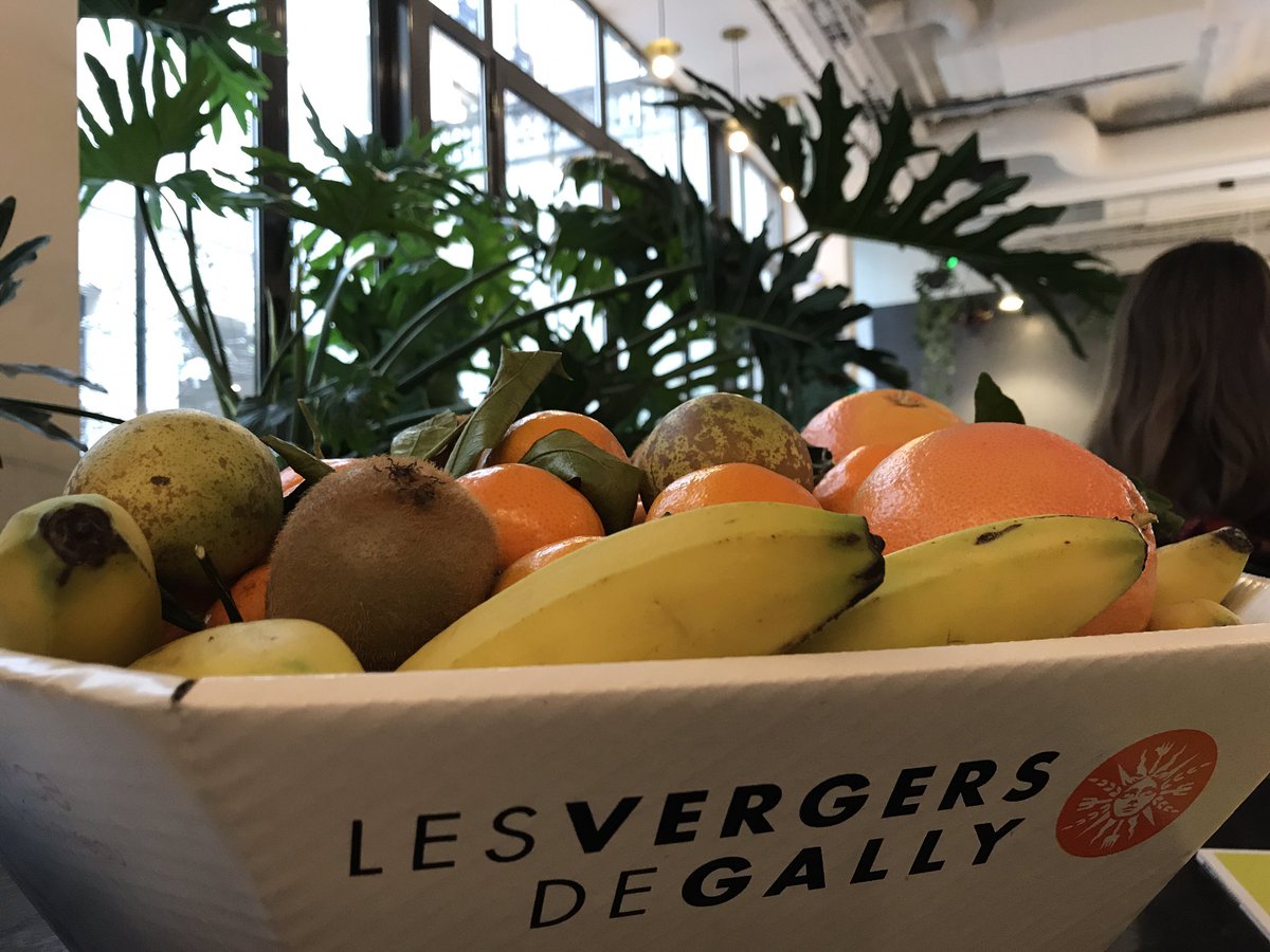 [Conseil] #GreenDeskDay manger des fruits 🍇 🍉 🍈 au #bureau ça fait du bien ! #fruits #energy #goodlife #workplace <a href="/JardinsdeGally/">Les Jardins de Gally</a>