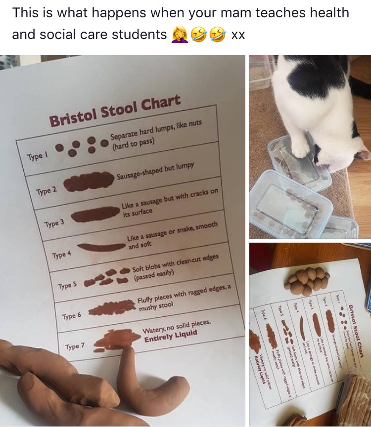 Cat Stool Chart