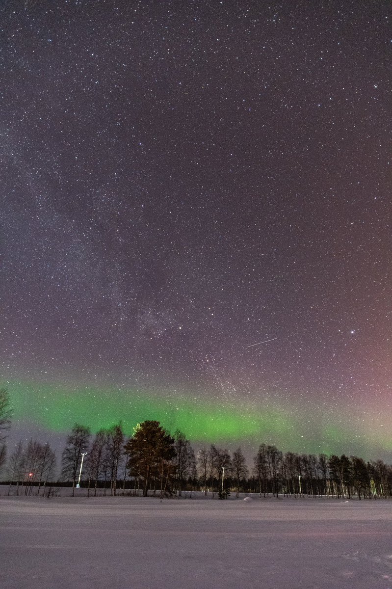 eyeschipha's tweet photo. Day 5 #Finland #Lapland #HuskyRide #northernlights https://t.co/ZsvLSmVDDf