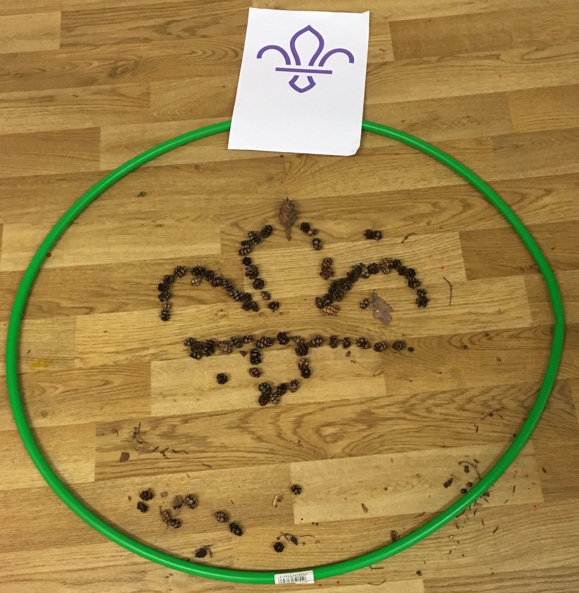 Scouts 10th Hereford (Whitecross) tweet media