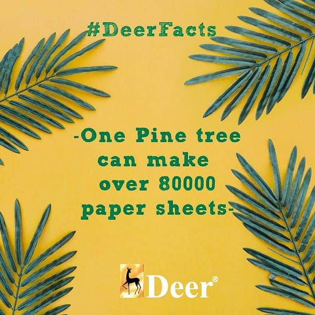 Well, those are some numbers! 😄
But that’s a fact!
#deerfacts #wood #pencils #trees #pencils #selects #bamboo #paper #sheets #80000 #creative #informative #unknown #deershop #fact #psl #deerstationery #induspencil