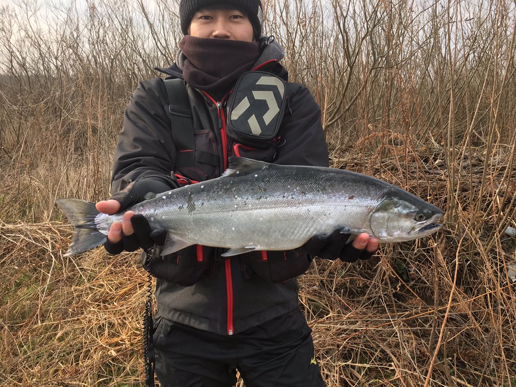 shingo1105's tweet photo. 今年も釣れた〜最高🎣 https://t.co/o8xs4GoDES