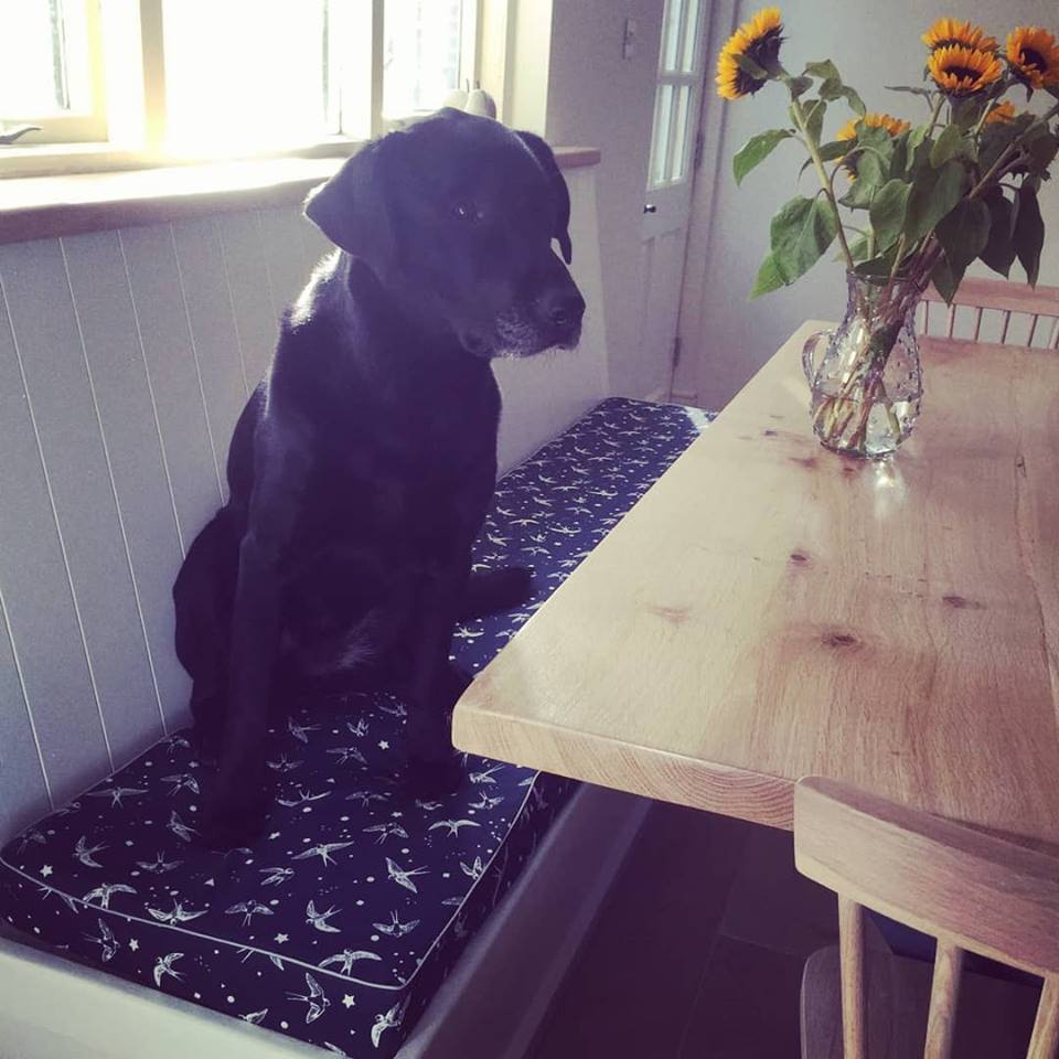 Flossie&Bumble tweet media