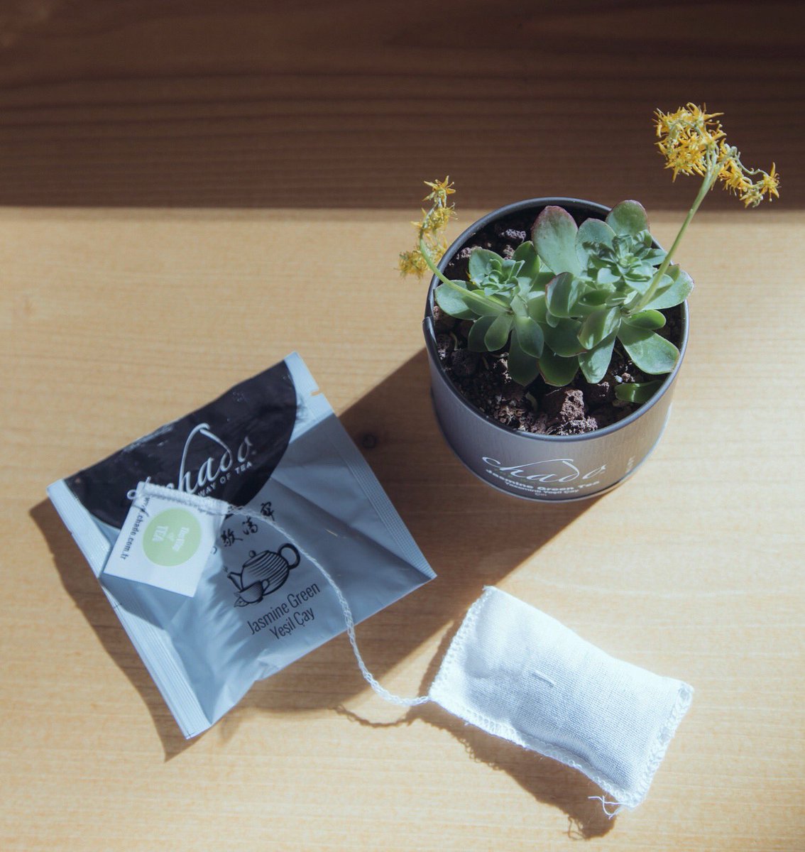 ChadoTeaCompany's tweet photo. Müslin poşet çaylar ile sizi hiçbir yerde Chado’suz bırakmıyoruz..
Çeşitleri zenginleştirdik ve herbirini havaalmayan kılıflara koyduk 🌱
.
.
#chadotea #thewayoftea #chadomoments #muslinteabag #jasminegreen #turmericchai #wellbeingtea #wakeuptea #earlgrey #chado https://t.co/hPjt4SUGsq