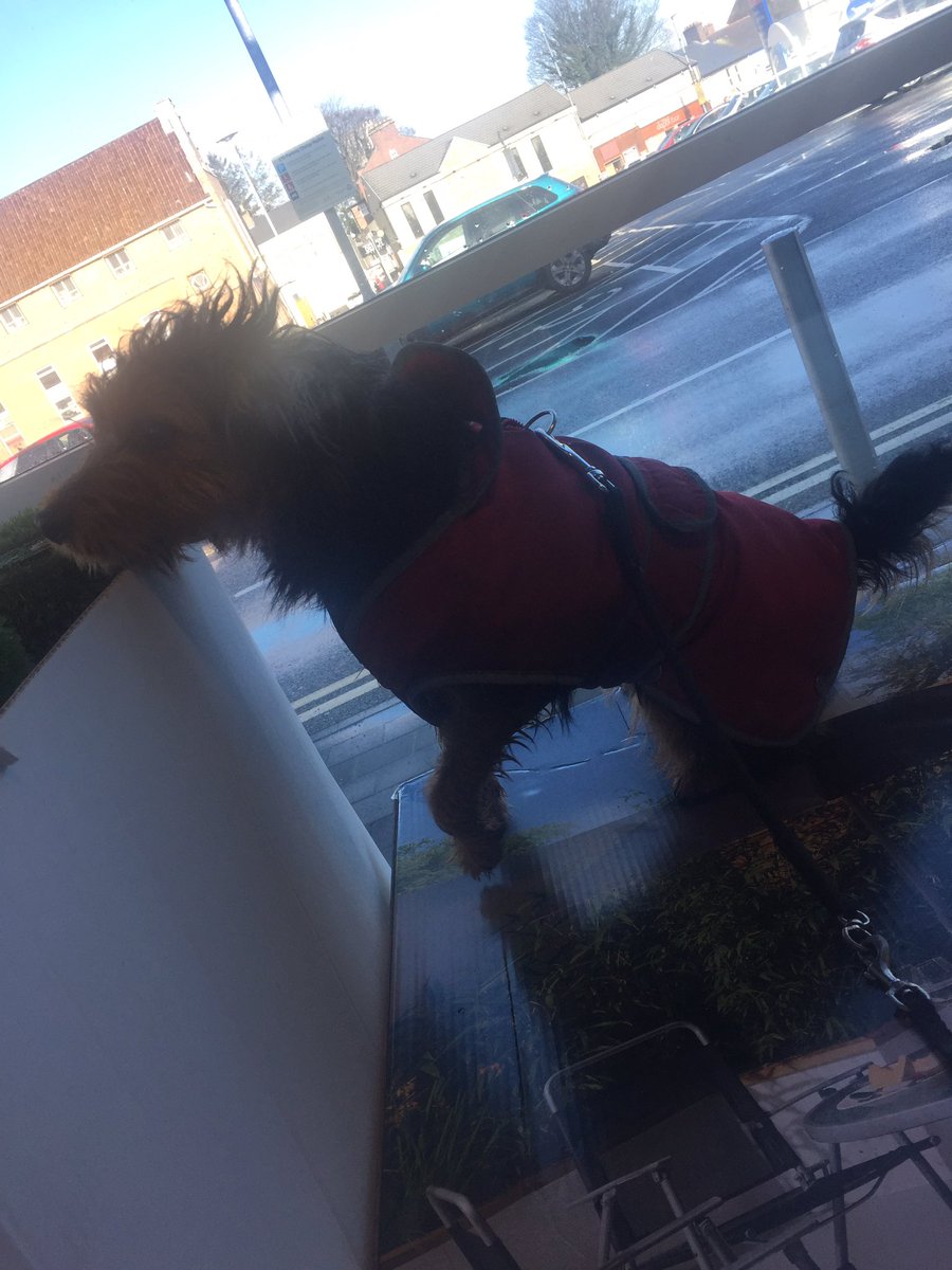 abtsag's tweet image. #TescoDog #Tuesday #WalkBreak