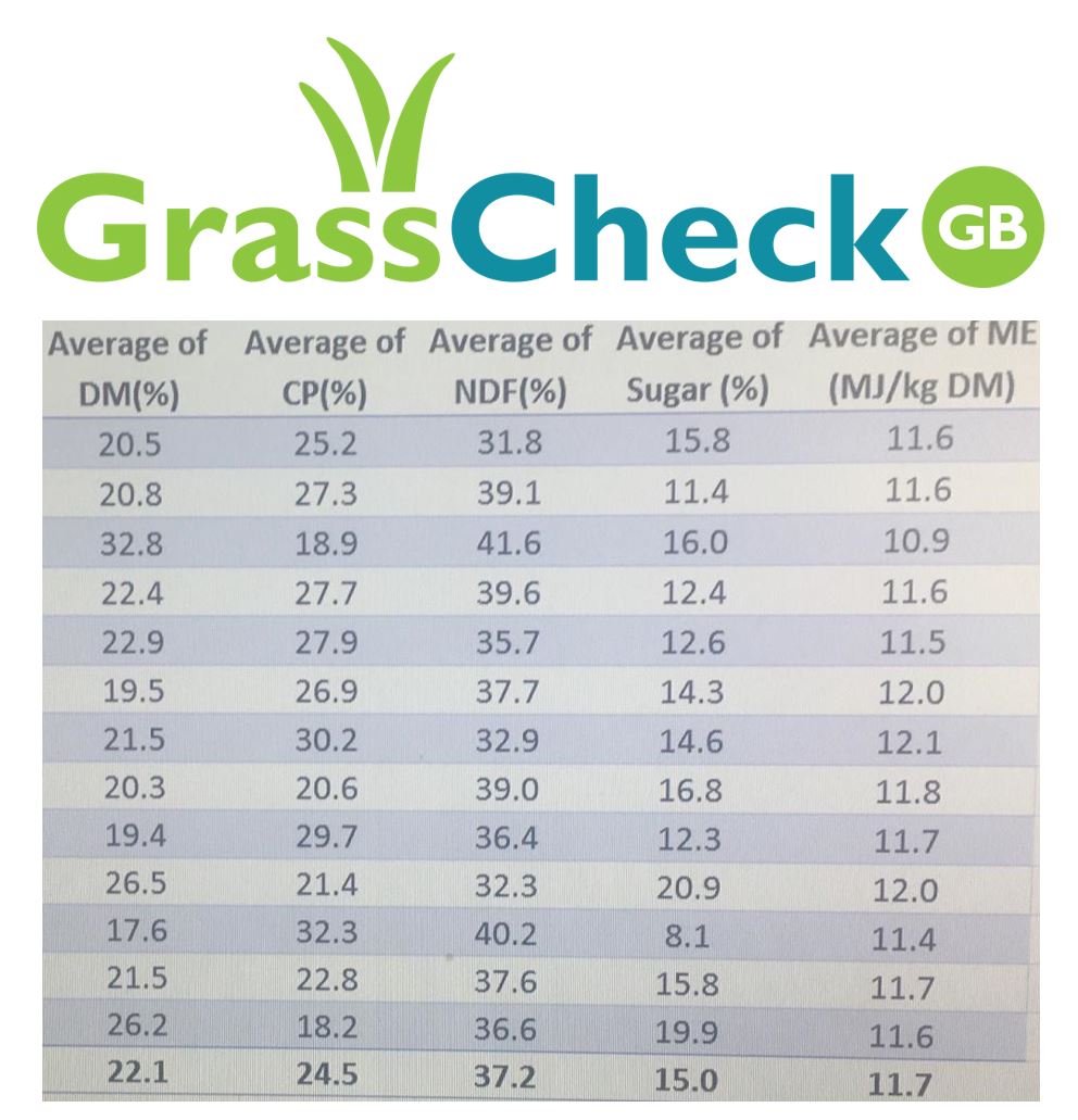 CIELivestock (@cielivestock1) on Twitter photo Great buzz & discussion across the #grasscheckgb #farm network as first #grass quality #data output from <a href="/GrasscheckGB/">GrassCheckGB</a> farms is generated. Looking good! Shout out to farms submitting samples this week - need to catch the last post today! #grasscheckgb <a href="/innovateuk/">Innovate UK</a> Great buzz & discussion across the #grasscheckgb #farm network as first #grass quality #data output from <a href="/GrasscheckGB/">GrassCheckGB</a> farms is generated. Looking good! Shout out to farms submitting samples this week - need to catch the last post today! #grasscheckgb <a href="/innovateuk/">Innovate UK</a>