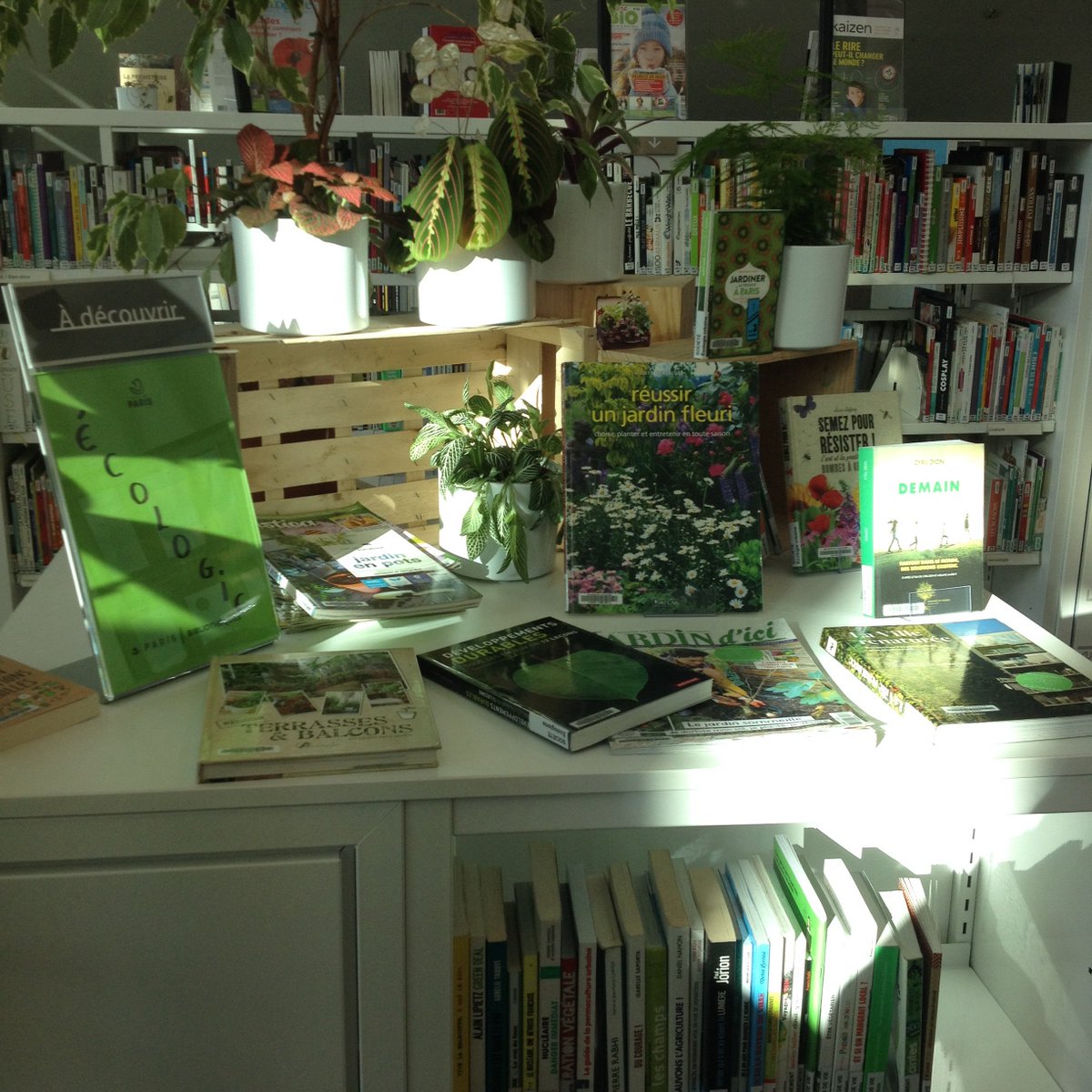 bibCanopee's tweet image. C&apos;est tout nouveau et (on l&apos;espère) tout beau : on vient de lancer un fonds #ecologie ! 🌿🌳🍃🌺🌾🌻
ça vous plaît ? passez vite le découvrir ! #greenlibrary