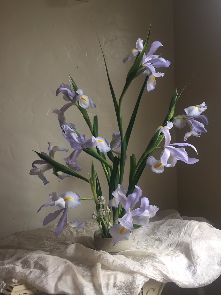 Irises