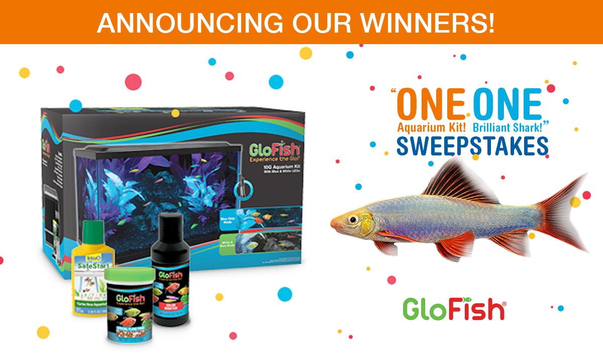 Drum roll please...   The five winners of our “One Aquarium Kit! One Brilliant Shark!” GloFish® Sweepstakes are:

Chelsea Renee
Blaine Hook
Jeff Fugitt
Camille Taylor
Brian Hamlin

Winners, be on the lookout for an email on important details on how to redeem your prize.