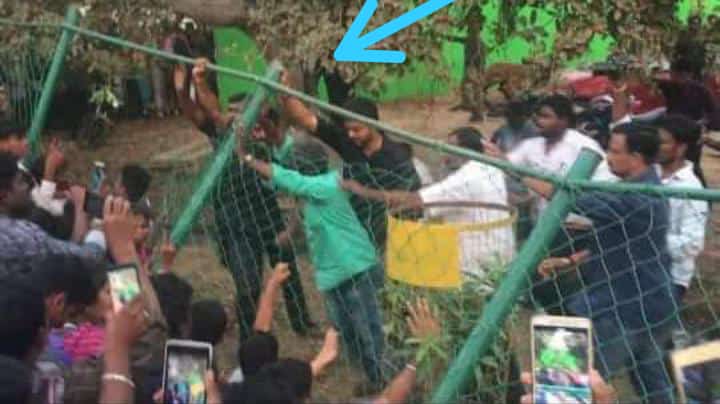 CommanderVJ's tweet photo. தன்  பாதுகாப்பு நினைக்காமல் ..

தன் ரசிகன்  கீழே விழுந்து* விட கூடாது என்று.. 

அடுத்த நொடி கூட  யோசிக்காமல் 
முன்  வந்து  அவர்களை அனைத்து  காப்பாற்றும்.. 

அந்த  மனசு  
அதான்  தளபதி விஜய்🙏

#Thalapathy63 https://t.co/BO3TXGE7La