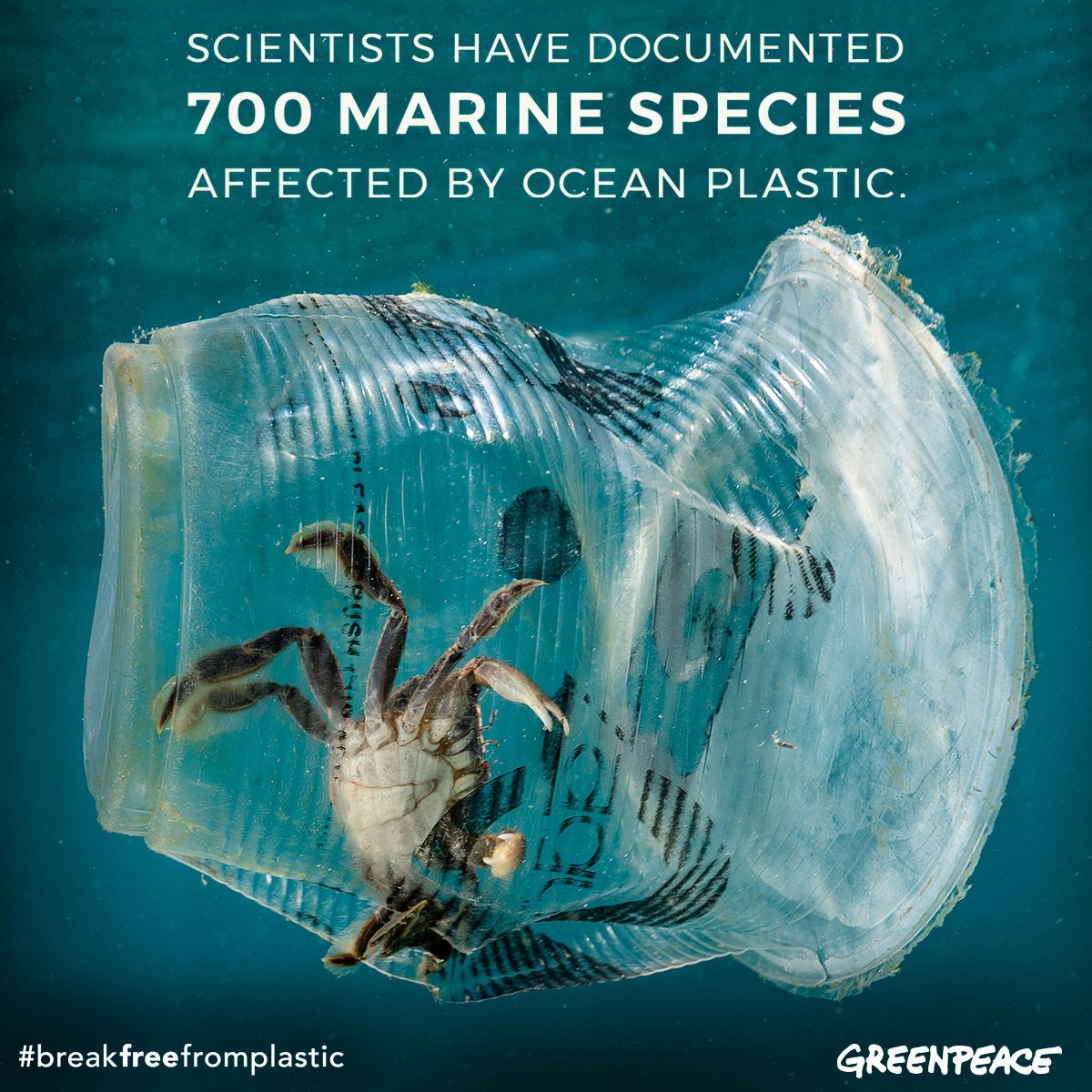 Companies like Nestlé and Unilever have created a plastic monster that is threatening wildlife and the communities that depend upon them. And it's up to us to stop them!

Tell the world’s biggest brands to #BreakFreeFromPlastic! >> bit.ly/2SDrJuF