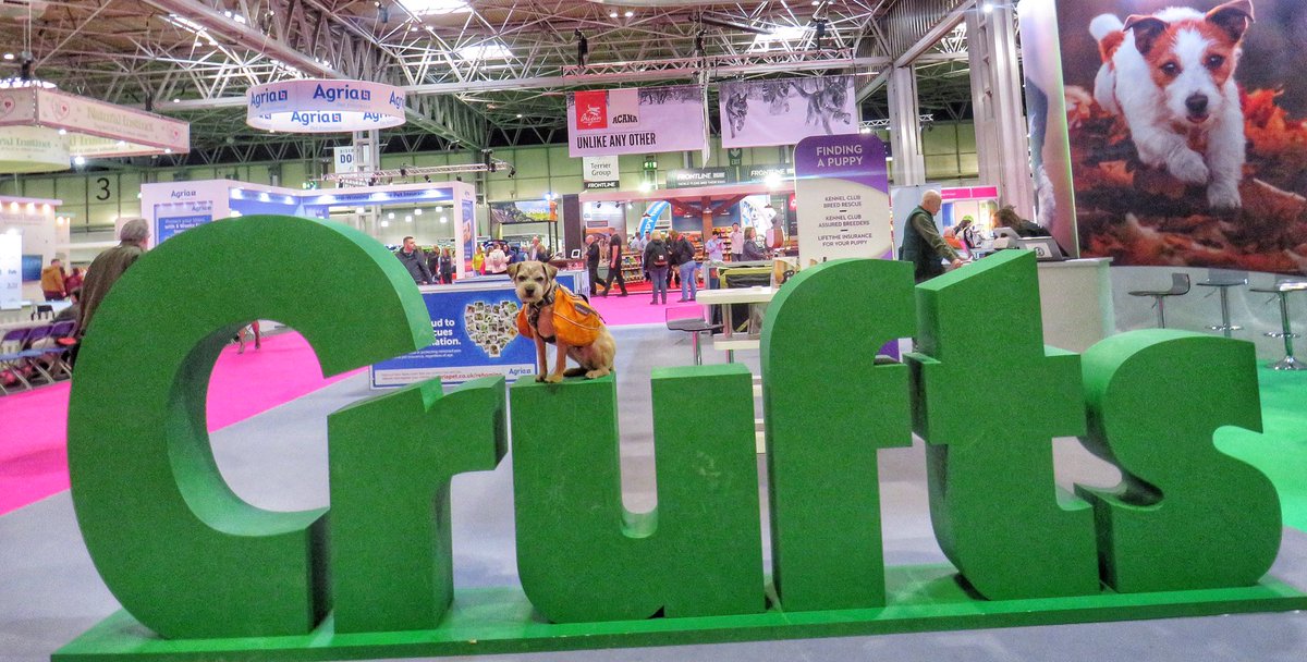 the_wonderdogs's tweet photo. Oh we had such a fun time at @Crufts 🐾 #tobythewonderdog #pitpat #volunteer #mascot #charitywork #adventuresoftoby https://t.co/6WuFypuFsN