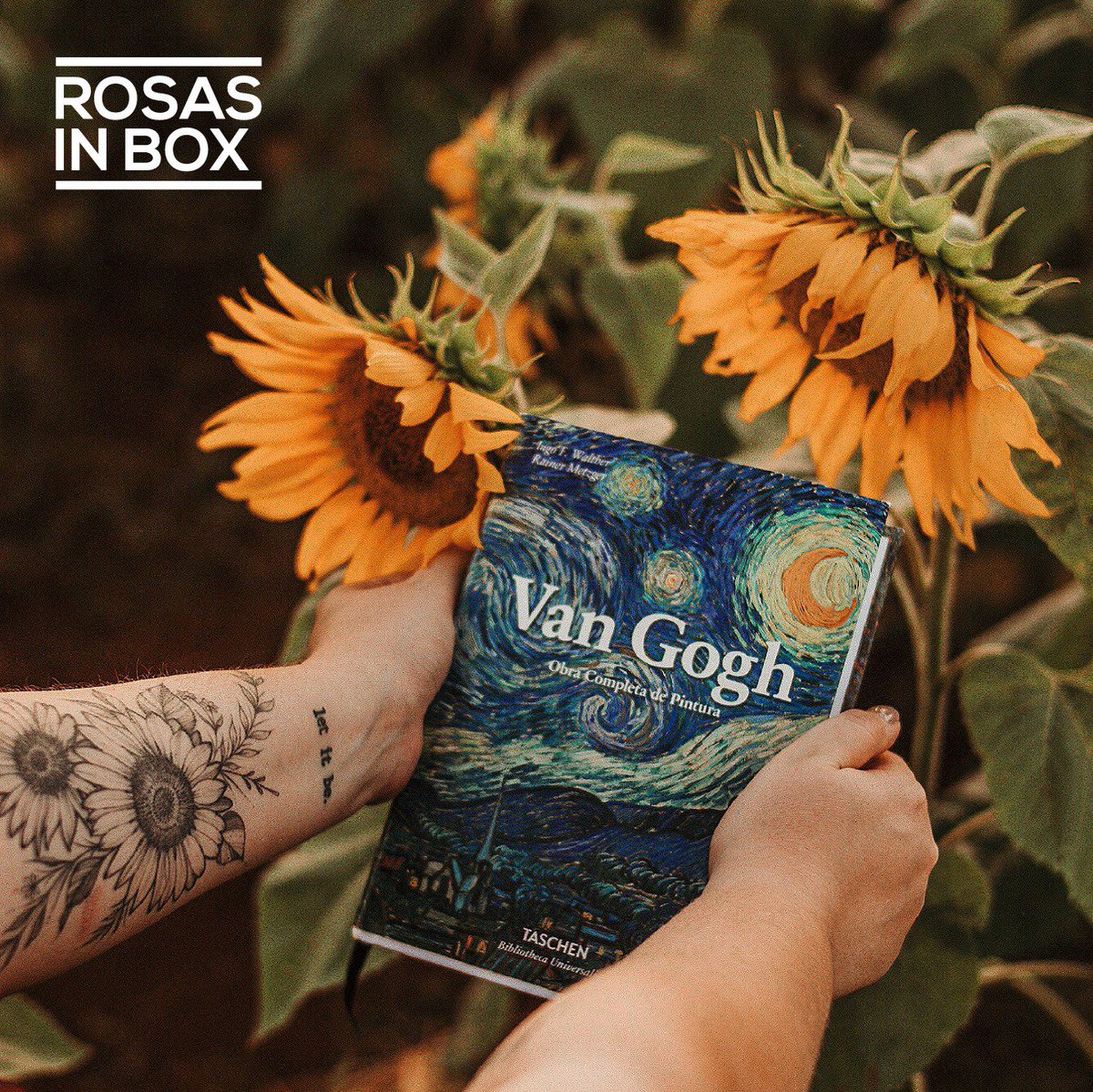 Rosasinbox's tweet photo. Los #Girasoles🌻 simbolizan el amor profundo❤️ y el #sol🌞
A lo largo de la historia, numerosos pintores quedaron fascinados por el colorido y belleza de esta flor, como es el caso de #VanGogh 🎨
👀https://t.co/LCdWzSMbUc
#RosasInBox #significadoflores https://t.co/vhHPTD7TTW