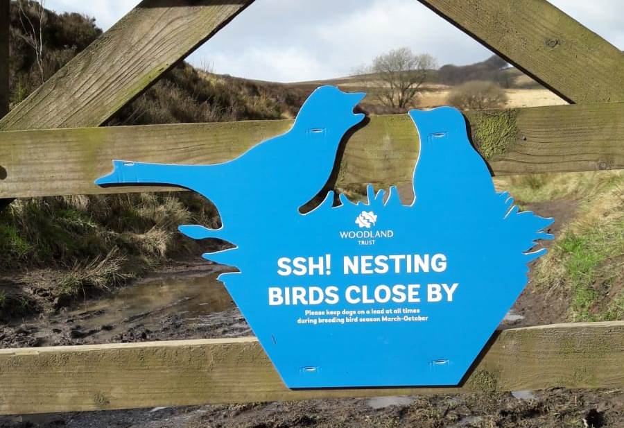 WTrustRuss's tweet photo. Signs are up across #smithillsestate moors as we enter breeding bird season. Please keep dogs on leads in these areas, as loose dogs can scare birds like curlew into abandoning their young. Many thanks in advance for your understanding #breedingbirds https://t.co/TfsSPXJfed
